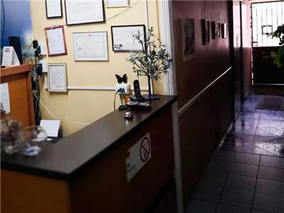 Hotel Mol Concepcion Bagian luar foto